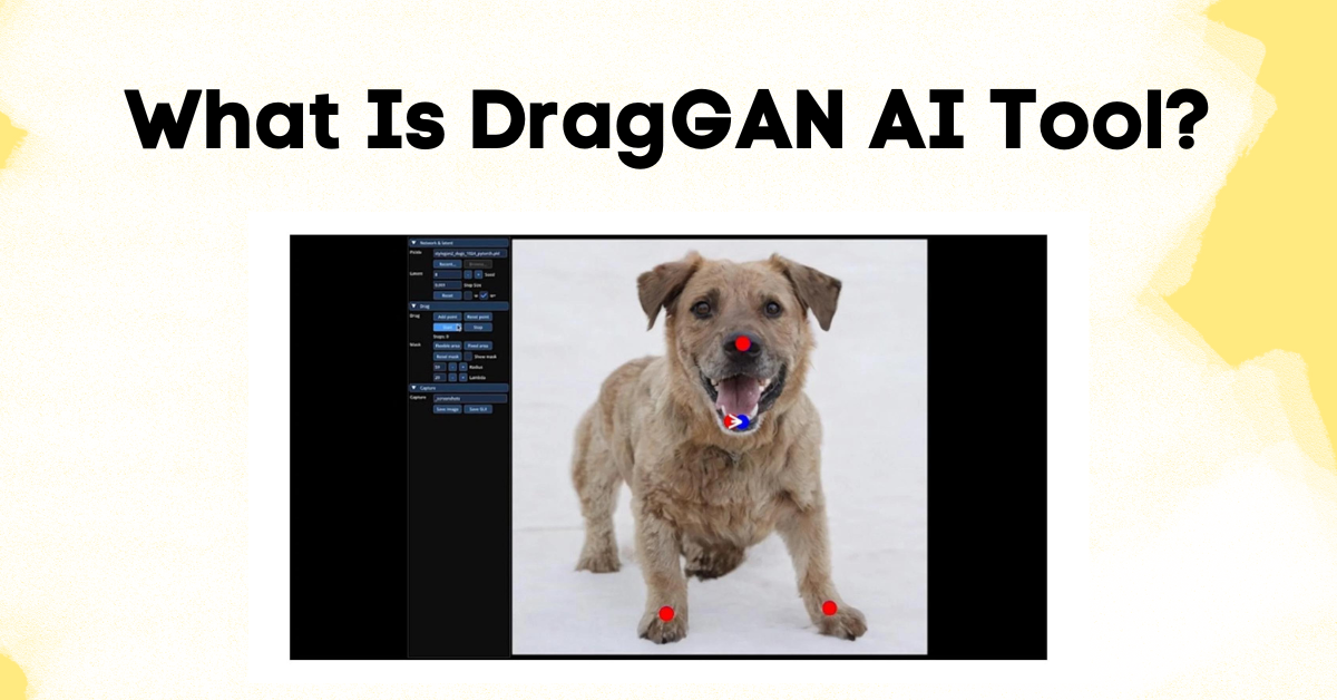 What Is DragGAN AI Tool